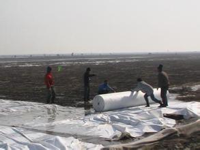 長絲土工布施工